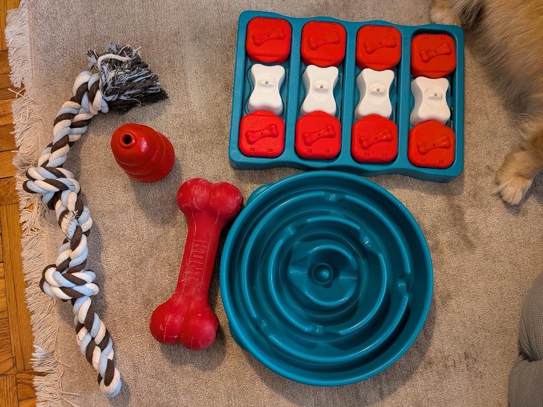 Dog stuff - Kong, puzzle, rope toy
