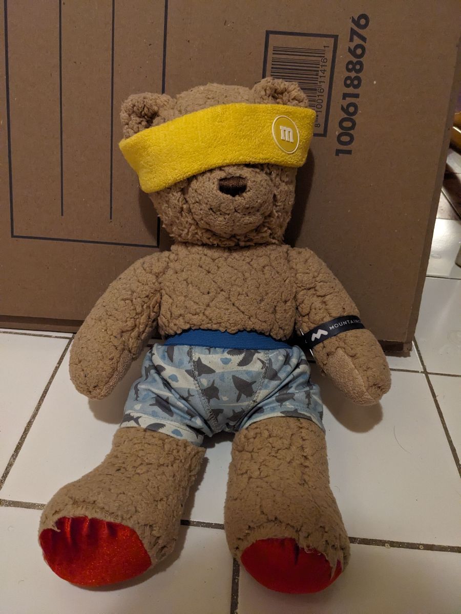 Build a bear workshop teddy bear