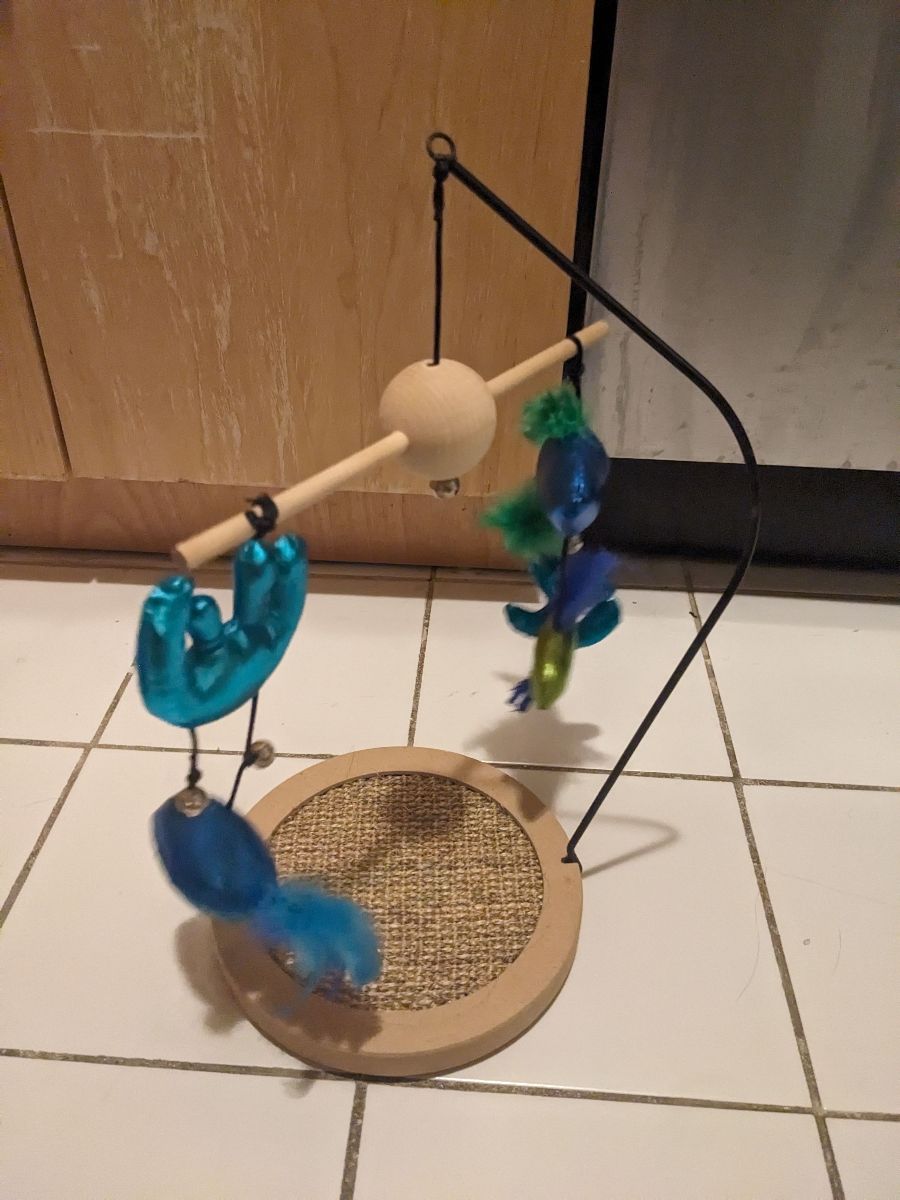 Cat toy