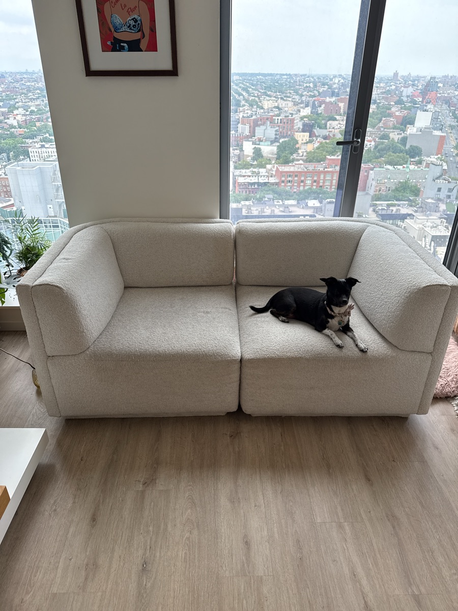 West Elm Arianna Corner Sofa