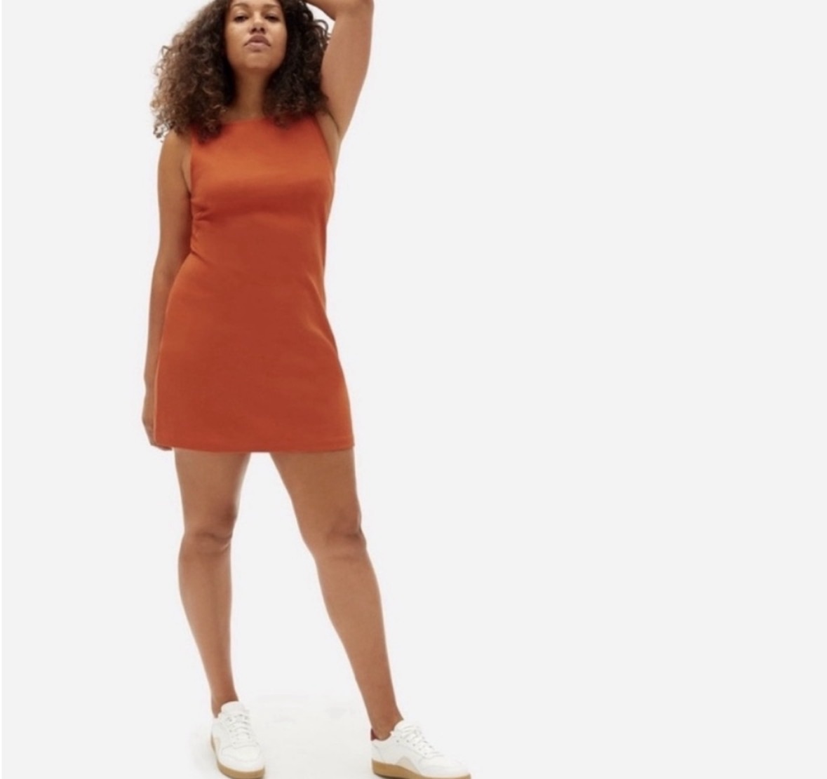 Everlane cotton dress 