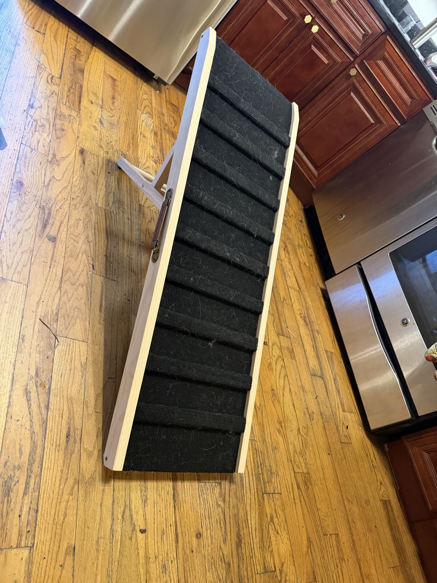 Dog ramp 