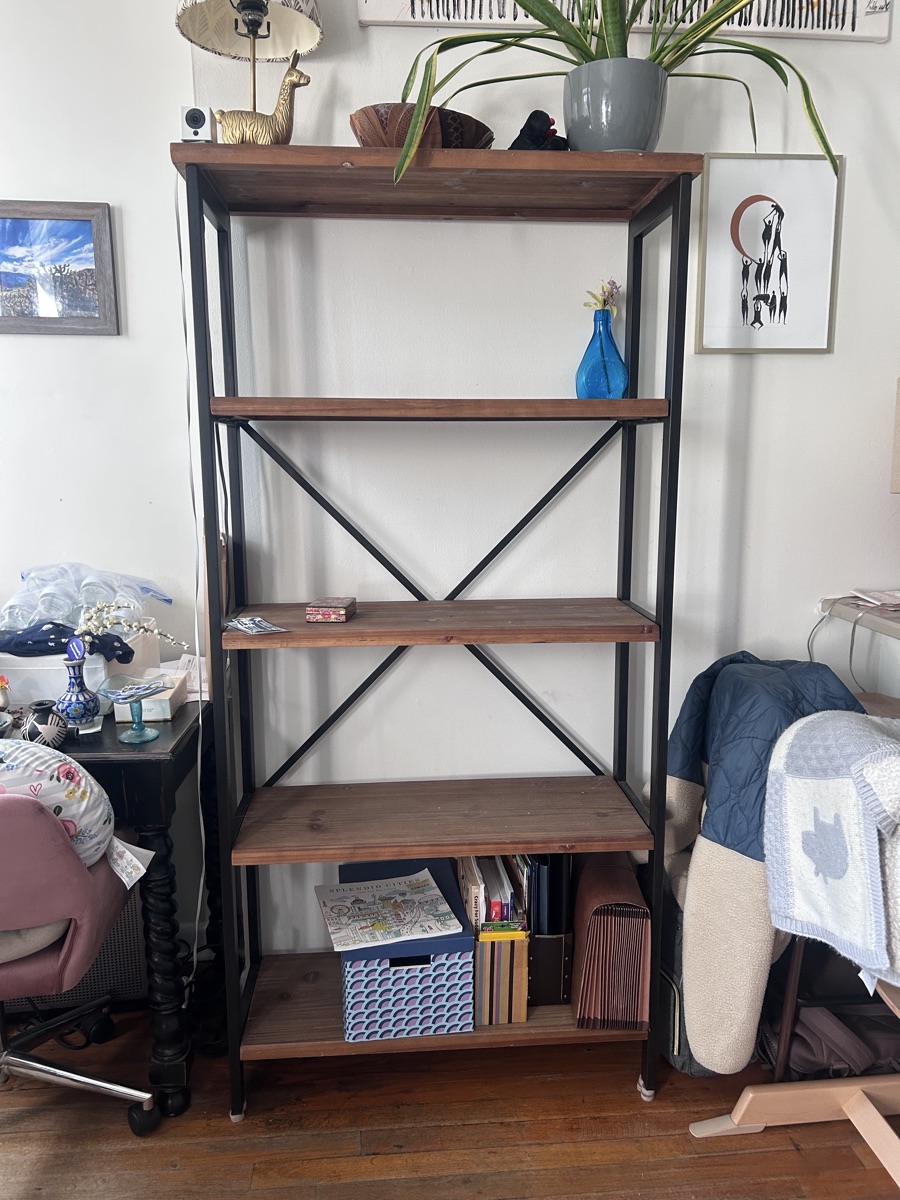 Bookshelf (metal frame, real wood shelves)
