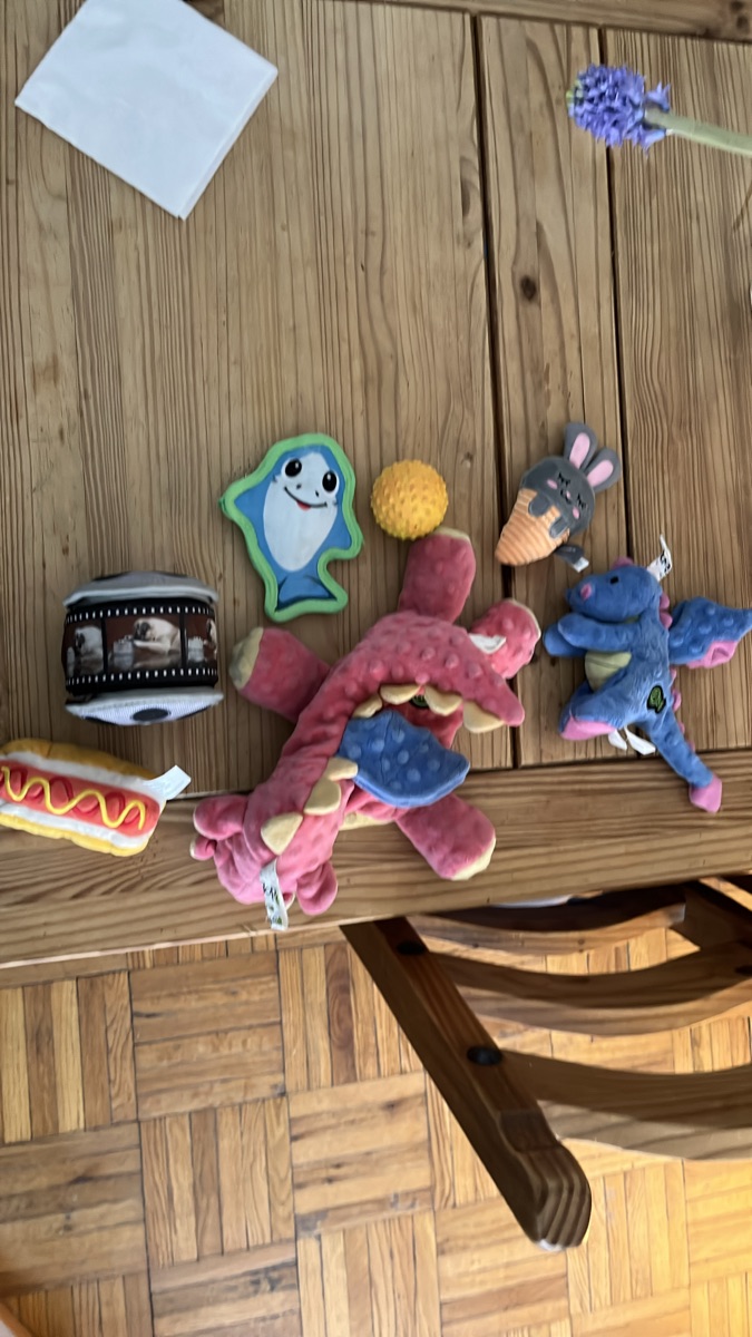 Misc Dog Toy Bundle