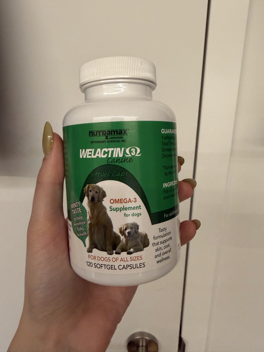 Omega 3 supplements for Dog