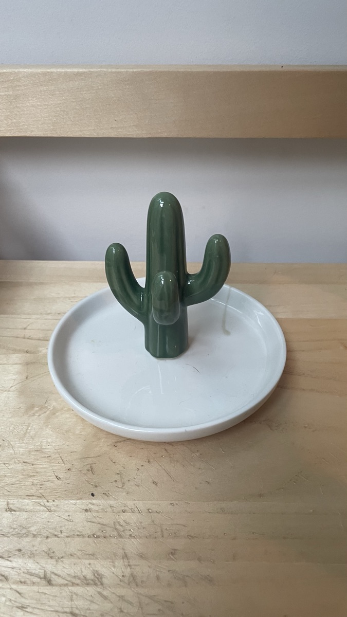 Cactus Jewelry Stand