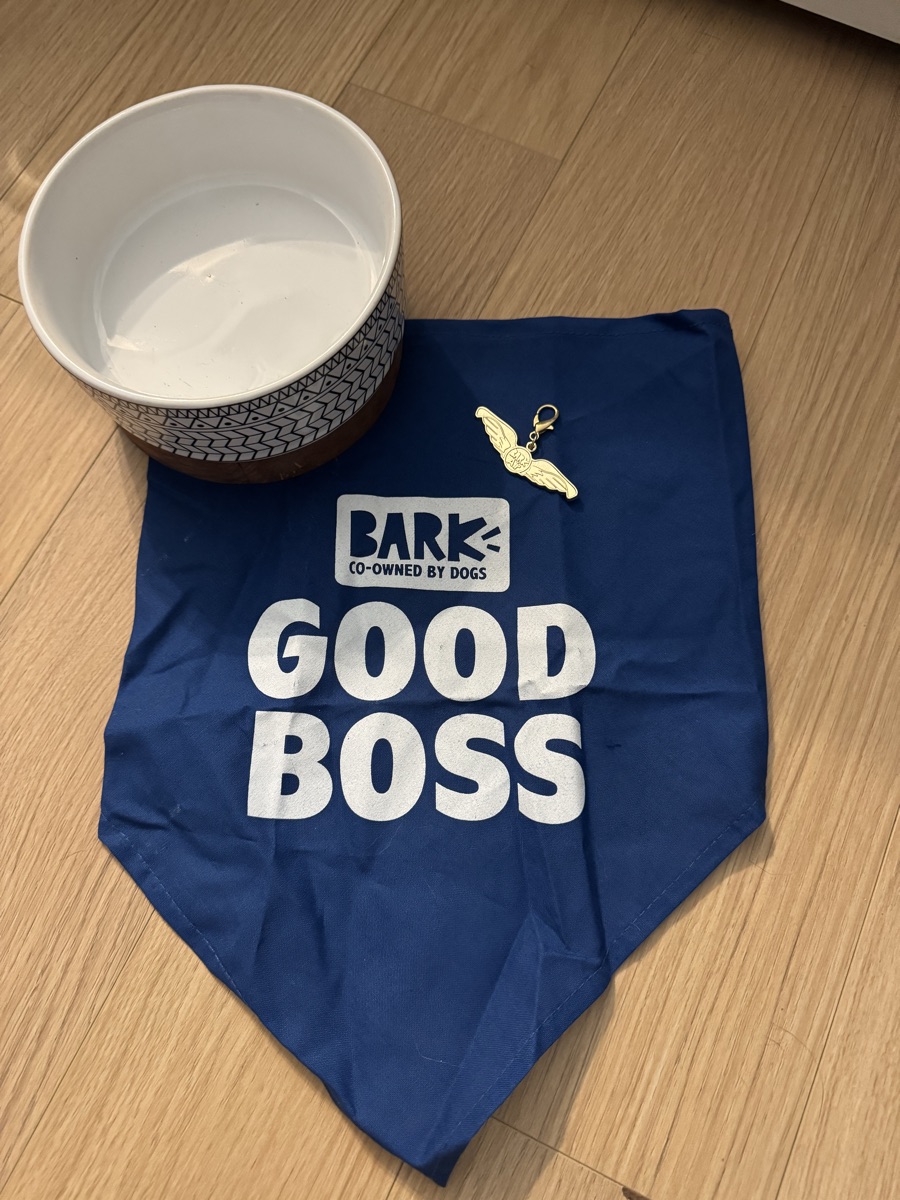 dog water bowl, bandana, and charm 