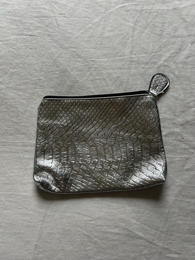 Silver Cosmetic Bag 