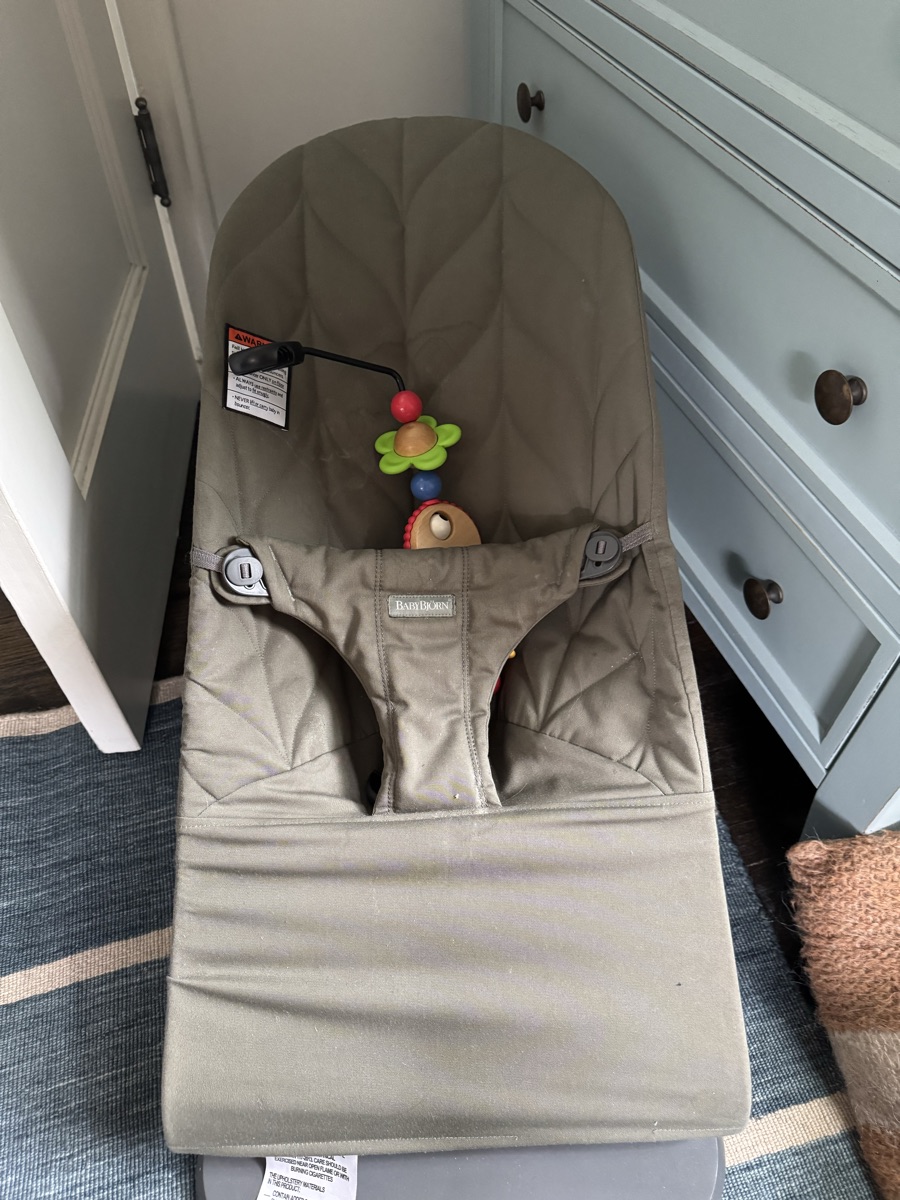 Baby Bouncer