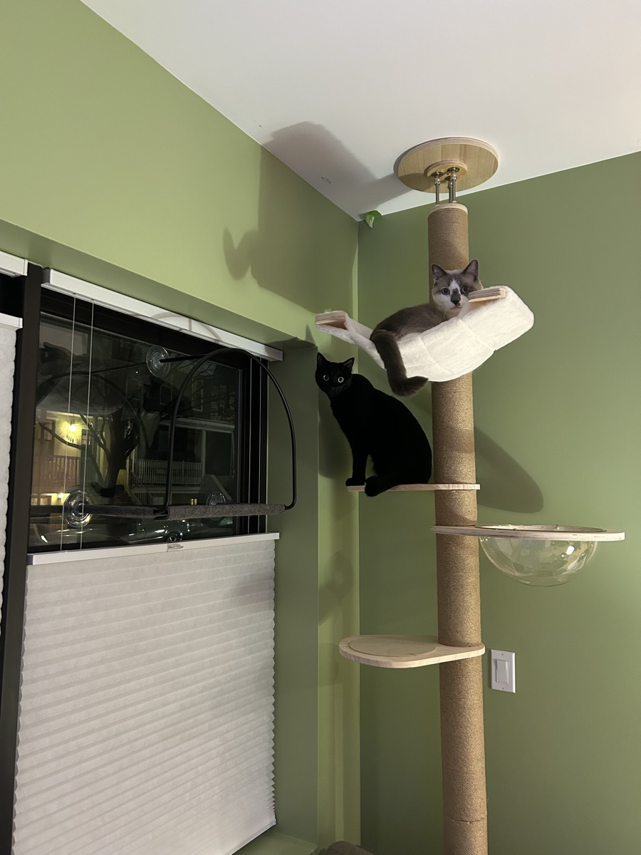 Cat Tree
