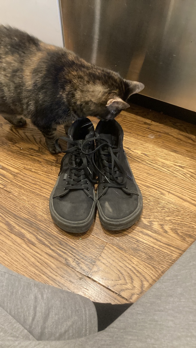 SPLAY Barefoot Sneakers W9.5