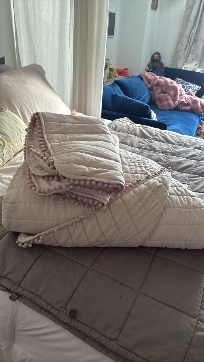 Comforter and 2 pillowcases 