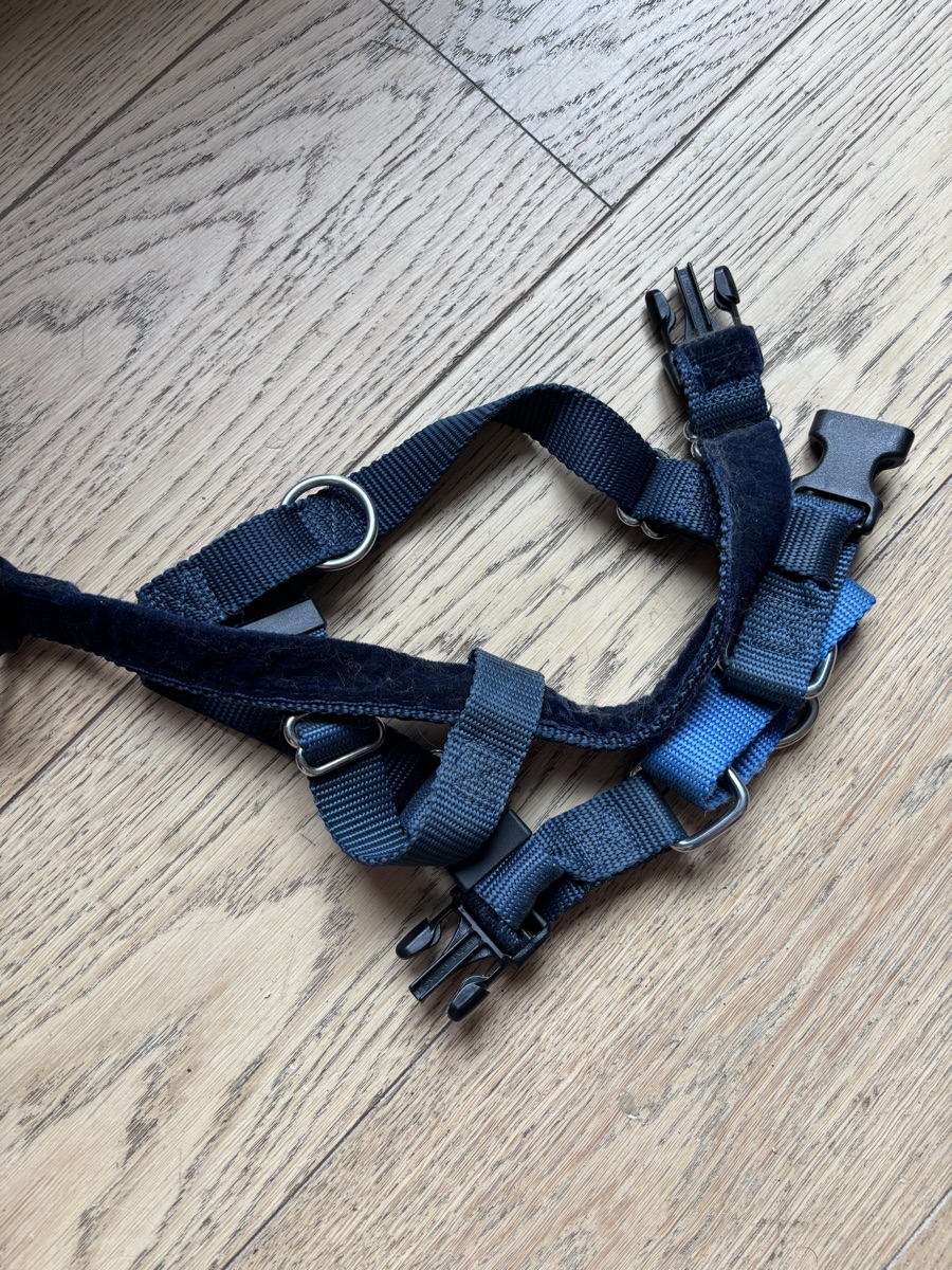 2 hounds design freedom harness