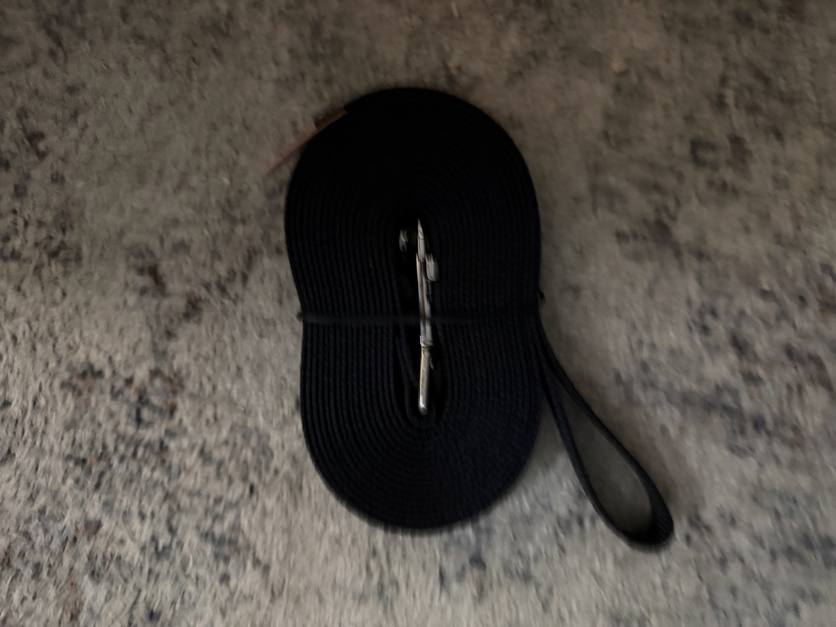 Long leash guessing 15ft unused