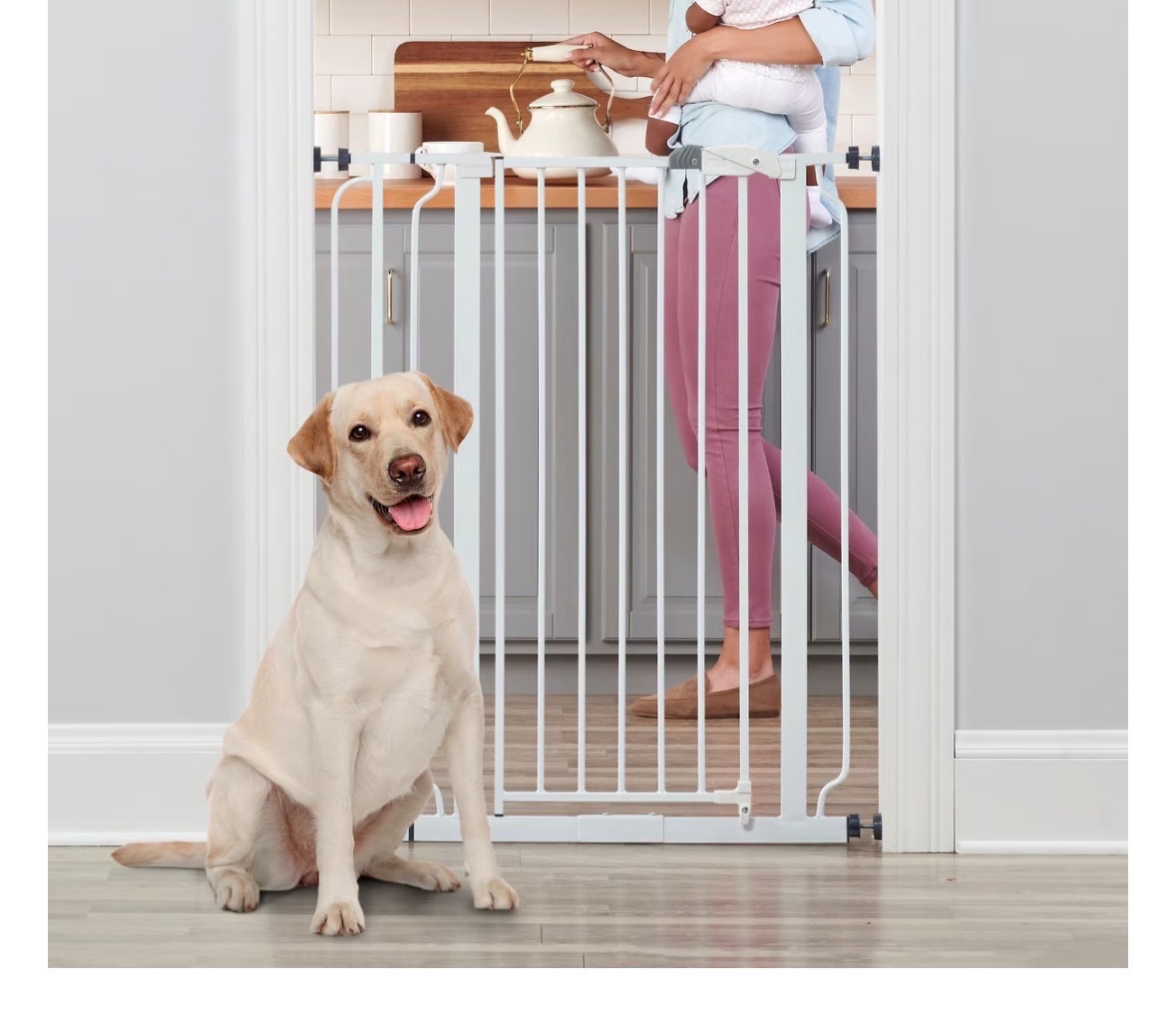 Pet gate 2